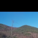 자동차와 좋은 사람들 이미지