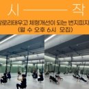바디지음번지피지오