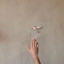 에덴장식 이미지