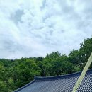 마하사 대웅전 석조석가여래삼존상 이미지