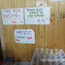 빠박이껍데기 이미지