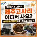 [제주고사리구입후기] 제주 말린고사리 어디서 사요? (제주시민속오일시장 방문기)