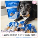 Dr.JK 동물병원 | 오래먹는개껌 찾는다면? 강아지 간식 추천템 닥터레버 덴탈츄 후기