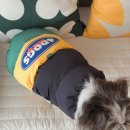 포독스 | 포독스 4DOGS 강아지 패딩 후기