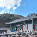통도불교사