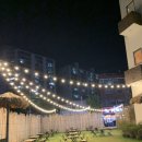 탄스비치 이미지