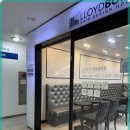 로이드밤헤어 이미지