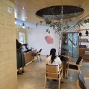 좋은치과의원 | 턱관절 전문 &#34;대구 톡톡구강내과치과의원&#34; 치료 후기
