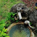 짱구와 영심이 이미지