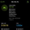 핀데이