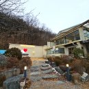 와 | 춘천 쌀케이크 맛집 쉬러와쌀케이크 내돈내산 후기 대형카페 추천