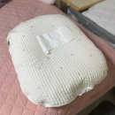 정밀당