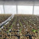 세븐일레븐 안성미리내점 이미지