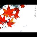 브이원 이미지