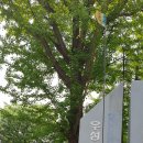 구로-고척-구로-1996 이미지