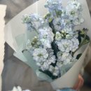 사랑의꽃집 이미지