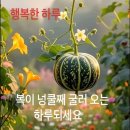 케이비젼안경 수원인계점 | 수원 인계동 비즈안경 매달 이어지는 돋보기 나눔 동행기 2편