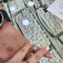 수원-0983 이미지