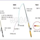 시즌낚시