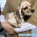 예성3번 이미지