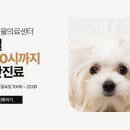 안중동물병원 이미지