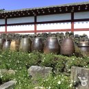 연기향토박물관 이미지