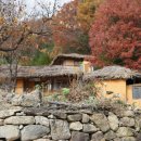 지구 카카오 검색결과