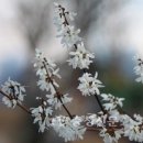 미선축산 이미지