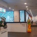 스윔 스타즈 이미지