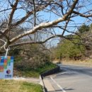 서해랑길 59코스 이미지