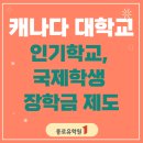캐나다 대학교, 국제학생을 위한 장학금 제도가 있다고?(feat. 명문대학교)