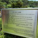 봉대산 이미지