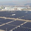 신호동 태양광발전소 이미지