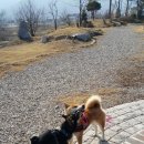 봄날-산책 이미지