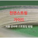 효일 | 테니스 천연스트링 가이드 ④ | 선수·조합·텐션