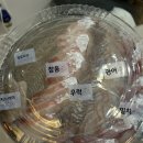 [여수] 여수 숙소 배달/포장 음식 추천리스트! (회, 치킨맛집)