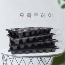 꽃보다야채