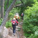산들리아