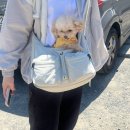 초록농장 | 포항 반려견 동반 가능한 브런치 카페 - 하이데보