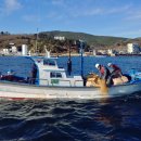 동해시-46 이미지