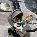 뽑다 | 우리아가 첫(유모)차 뽑다! 인글레시나 앱티카 후기!!