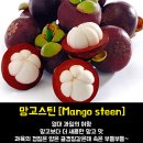 모모과일 이미지