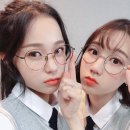 데이리에 이미지