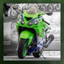 Kawasaki ninja ZX-14R 이미지