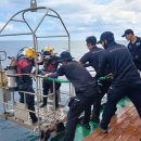 중앙특수 이미지