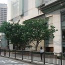 알로(ALO)롯데수원점 | 쇼핑템 / alo요가 알로매장 명동 롯데백화점 본점 다녀온 후기 / 알로요가 운동복 / 가격 / 타이다이...
