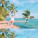 YOLO BEACH 이미지