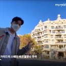 마이가이드 뉴스1