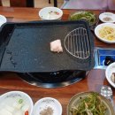 우주생고기 이미지