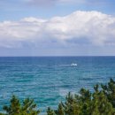 바다정원 이미지